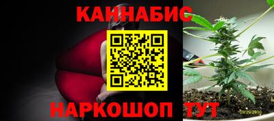 стаф Севастополь