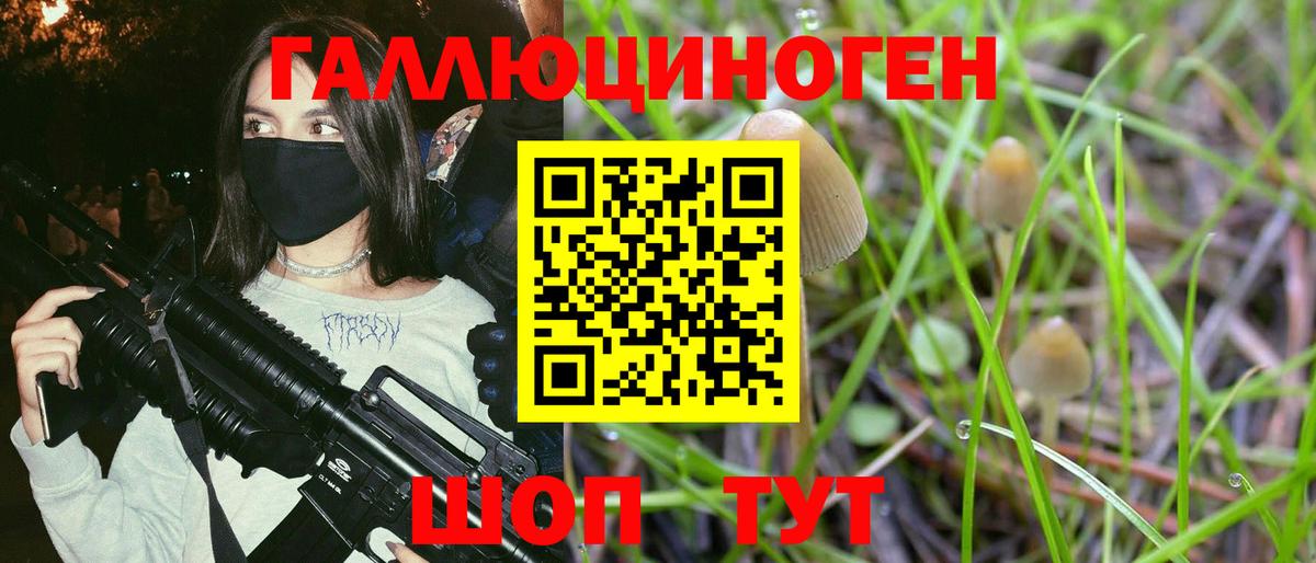 Псилоцибиновые грибы мицелий Павловский Посад