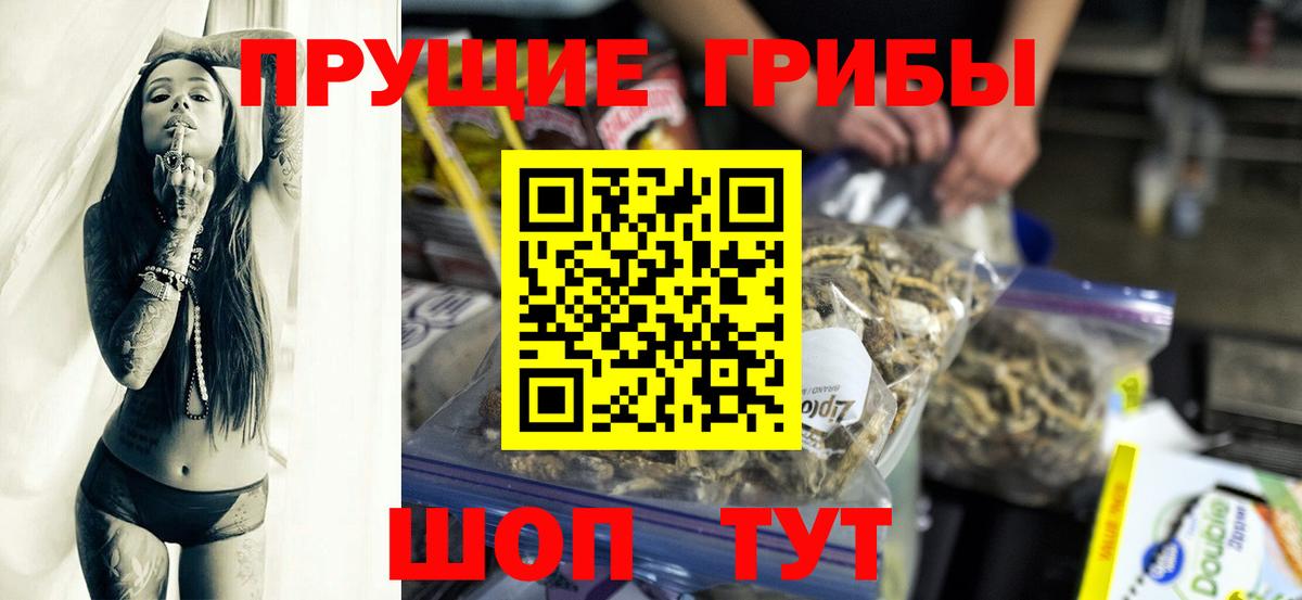 Павловский Посад  Галлюциногенные грибы Psilocybe  Галлюциногенные грибы ЛСД  Вход с VPN 