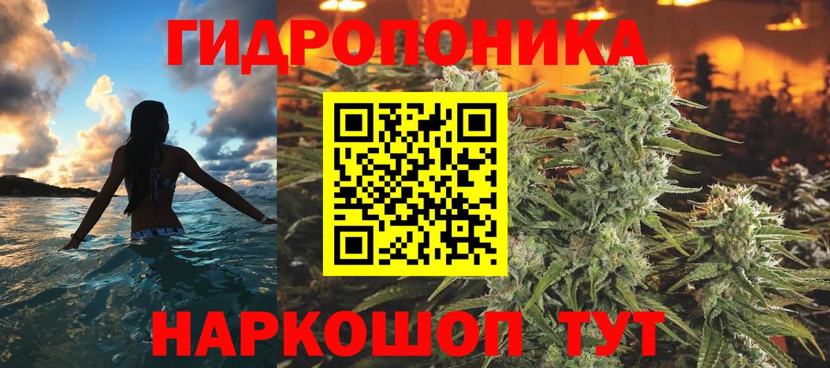 Конопля марихуана Павловский Посад