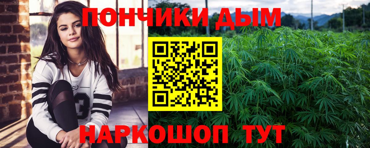 Каннабис планчик  Каннабис планчик  Вход с VPN  Марихуана индика  Павловский Посад 